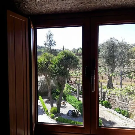 Casa Da Tia Palmira Guest House Castelo de Paiva Exterior photo